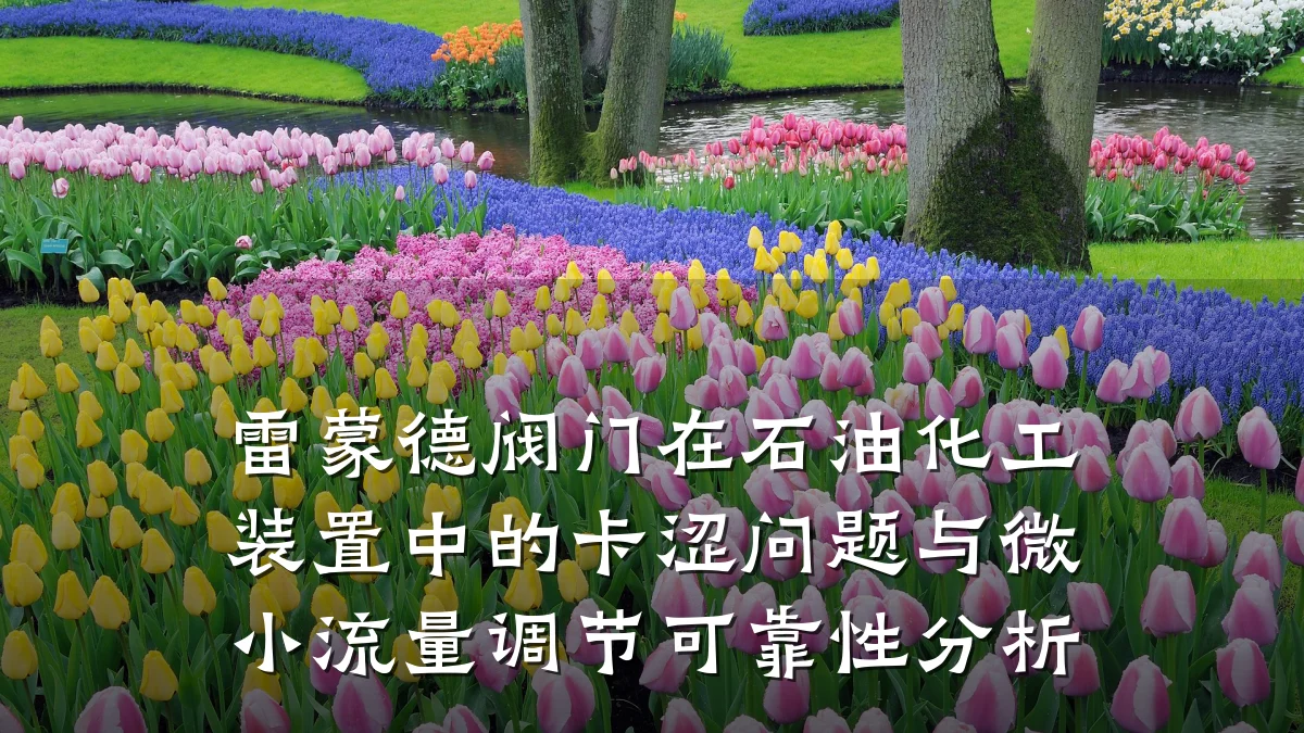 雷蒙德阀门在石油化工装置中的卡涩问题与微小流量调节可靠性分析