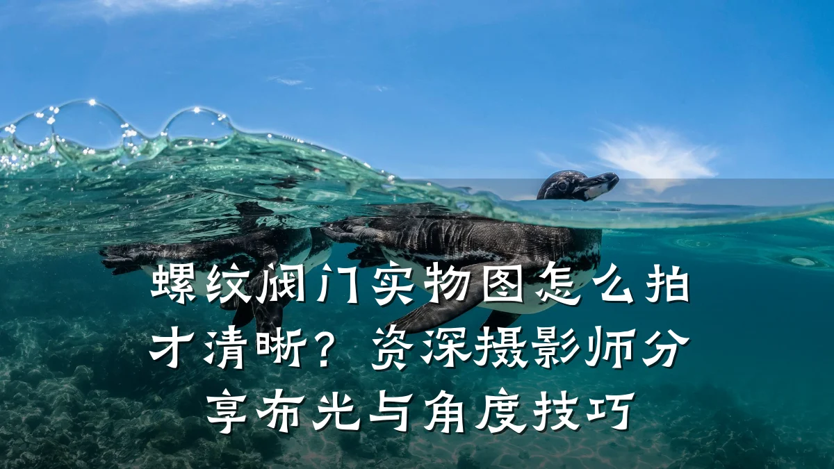 螺纹阀门实物图怎么拍才清晰？资深摄影师分享布光与角度技巧