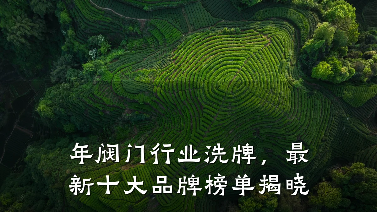 年阀门行业洗牌,最新十大品牌榜单揭晓