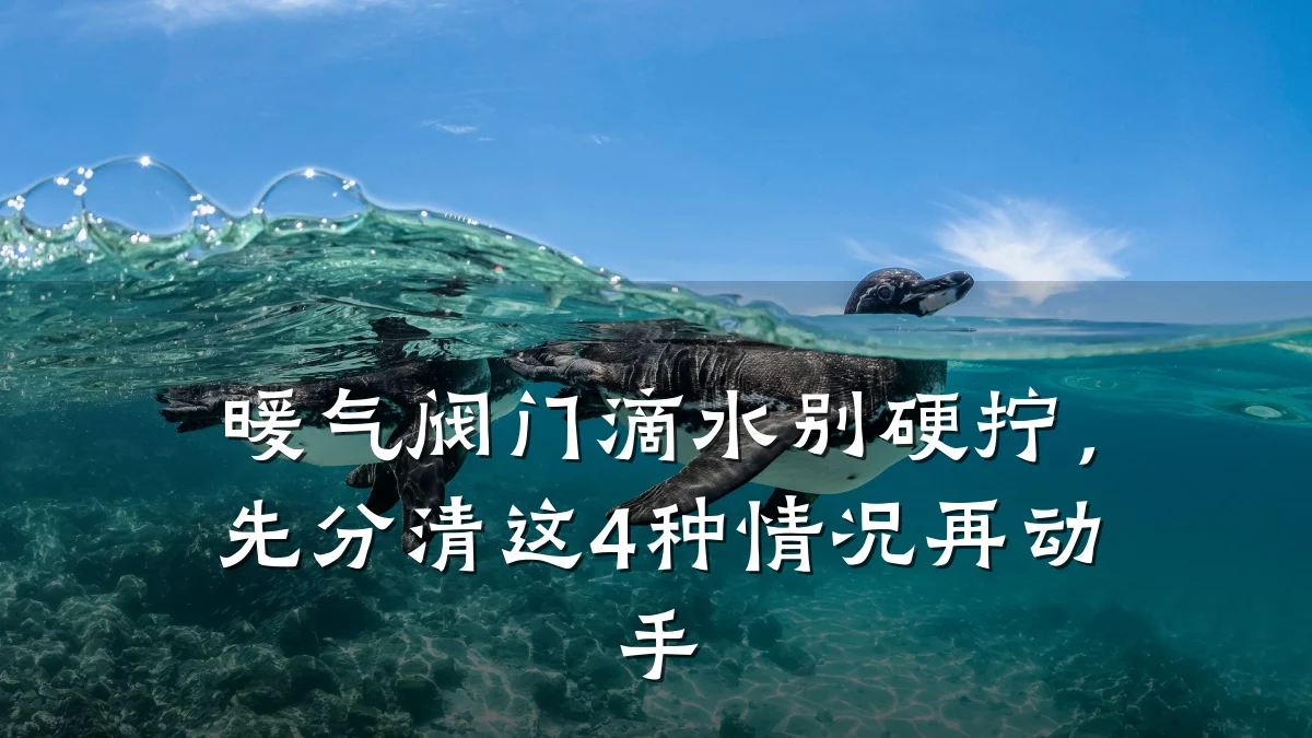 暖气阀门滴水别硬拧,先分清这4种情况再动手