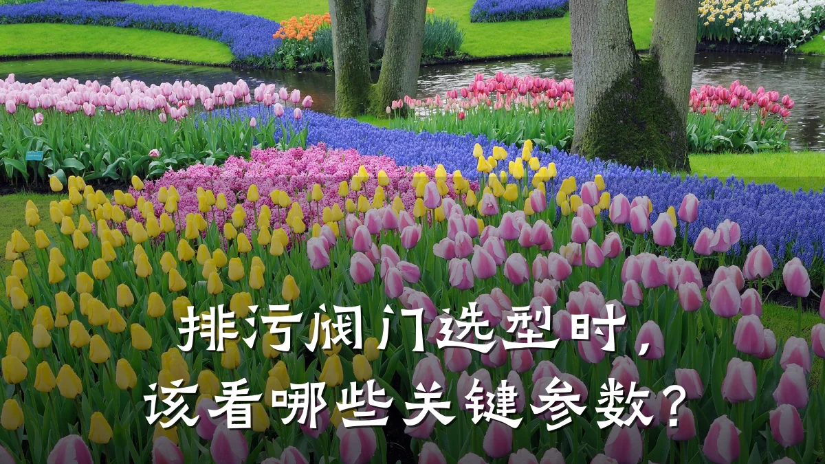 排污阀门选型时，该看哪些关键参数？