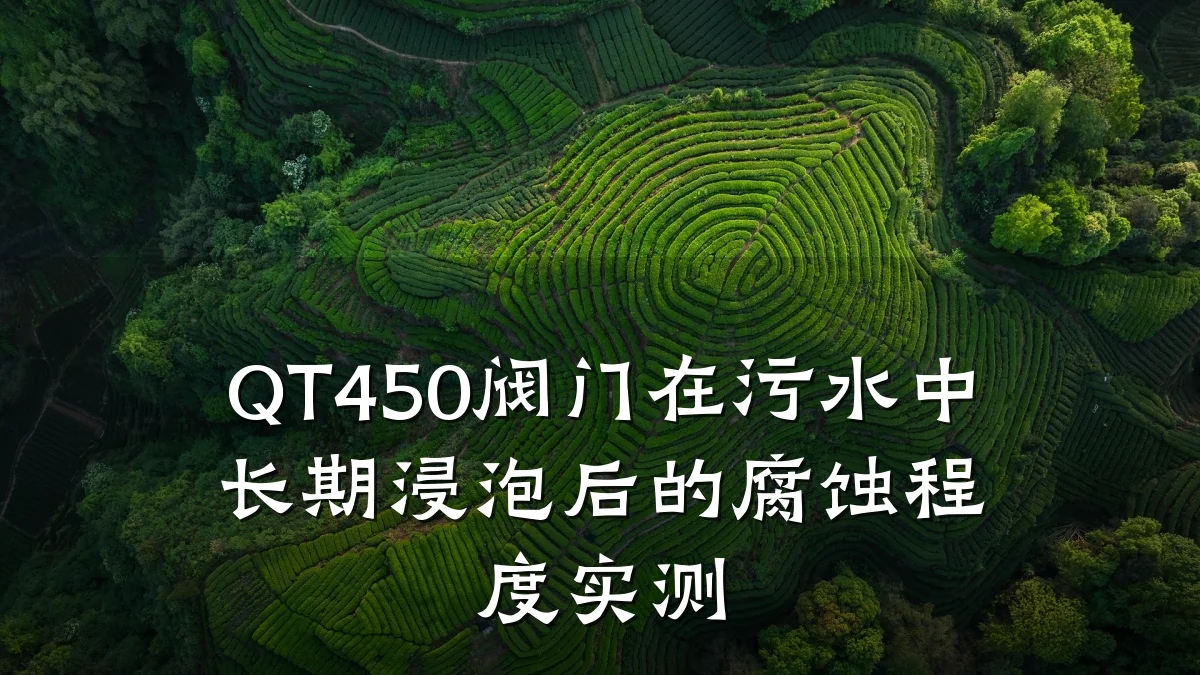 QT450阀门在污水中长期浸泡后的腐蚀程度实测