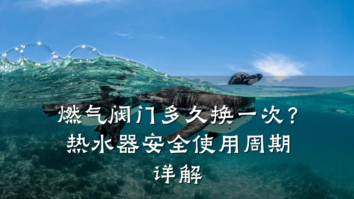 燃气阀门多久换一次？热水器安全使用周期详解
