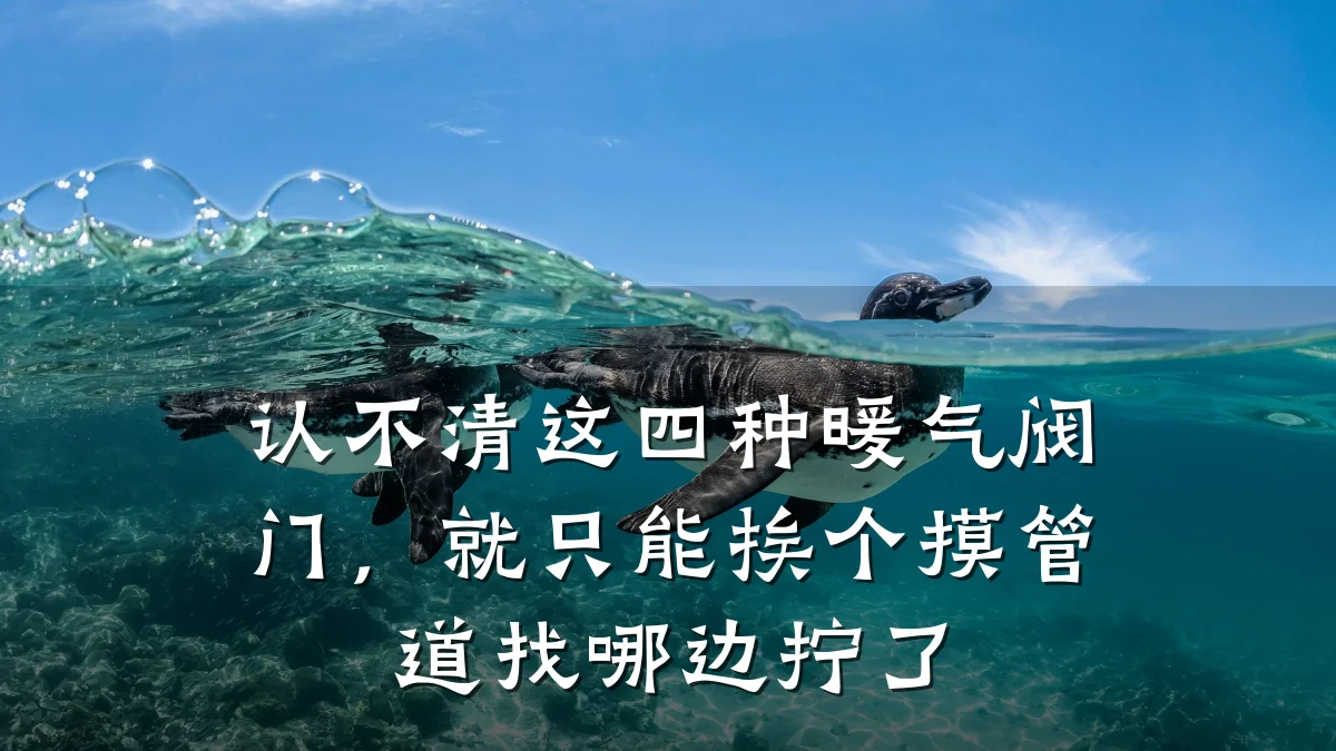 认不清这四种暖气阀门，就只能挨个摸管道找哪边拧了