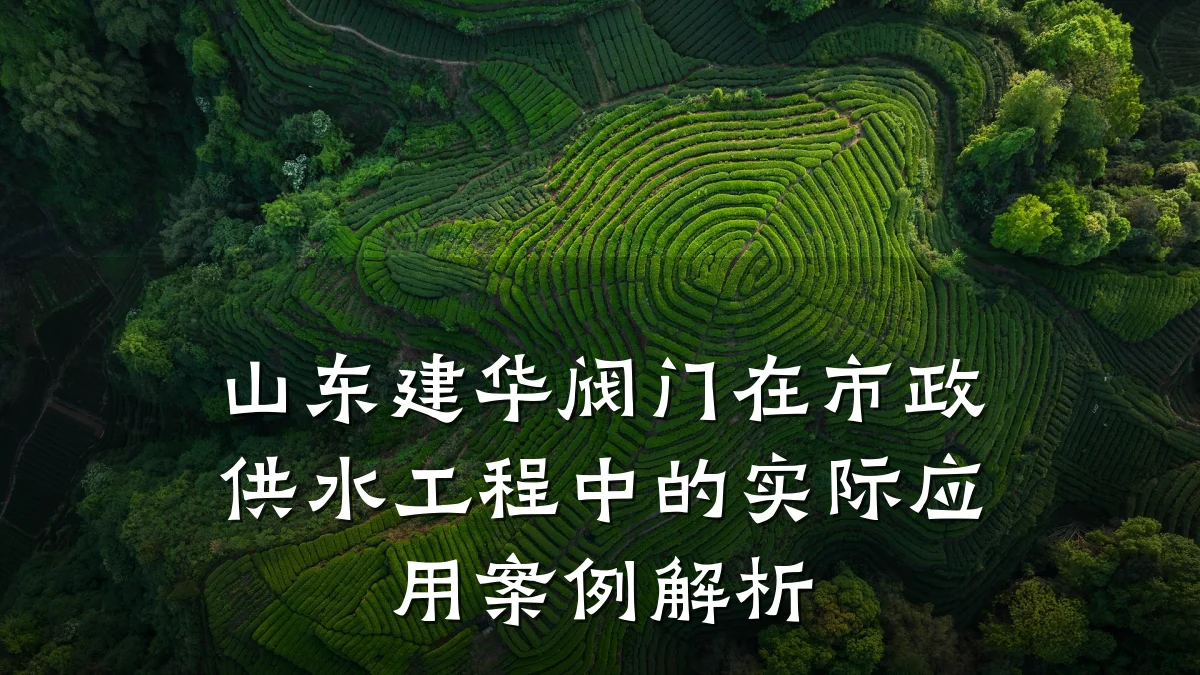 山东建华阀门在市政供水工程中的实际应用案例解析