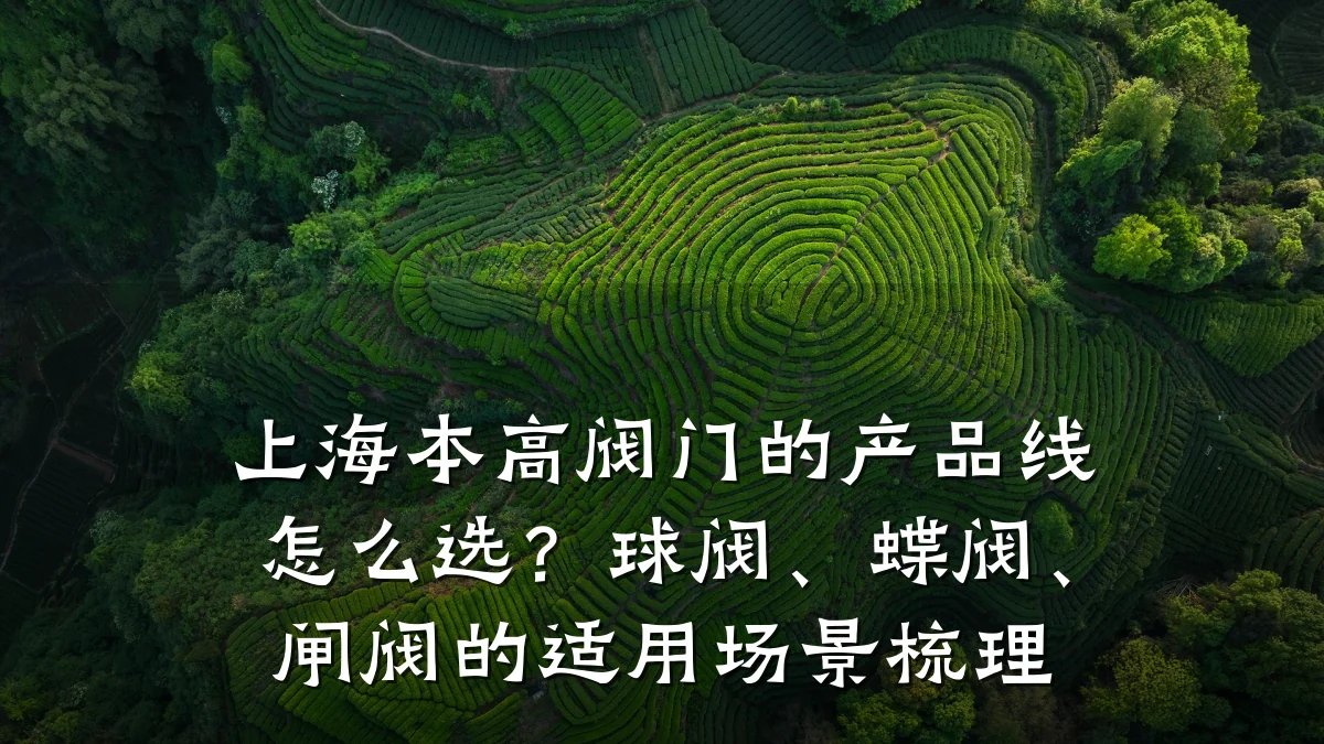 上海本高阀门的产品线怎么选？球阀、蝶阀、闸阀的适用场景梳理