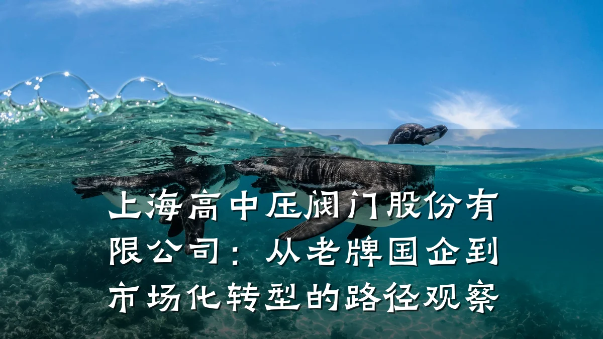 上海高中压阀门股份有限公司：从老牌国企到市场化转型的路径观察