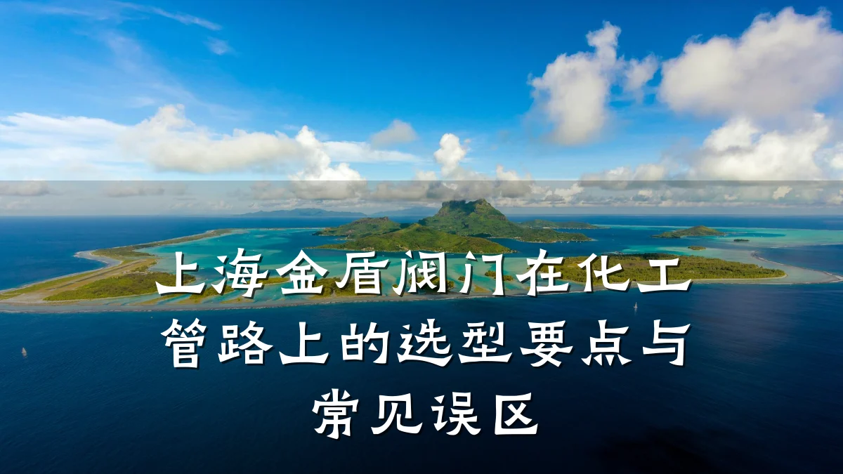 上海金盾阀门在化工管路上的选型要点与常见误区