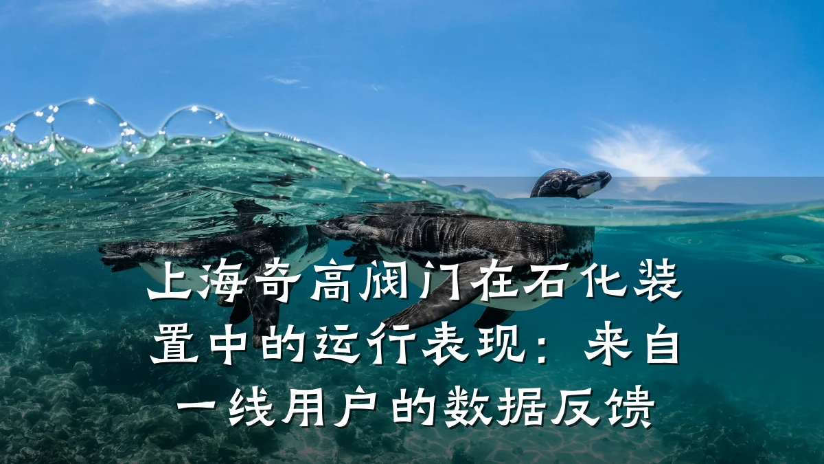 上海奇高阀门在石化装置中的运行表现：来自一线用户的数据反馈
