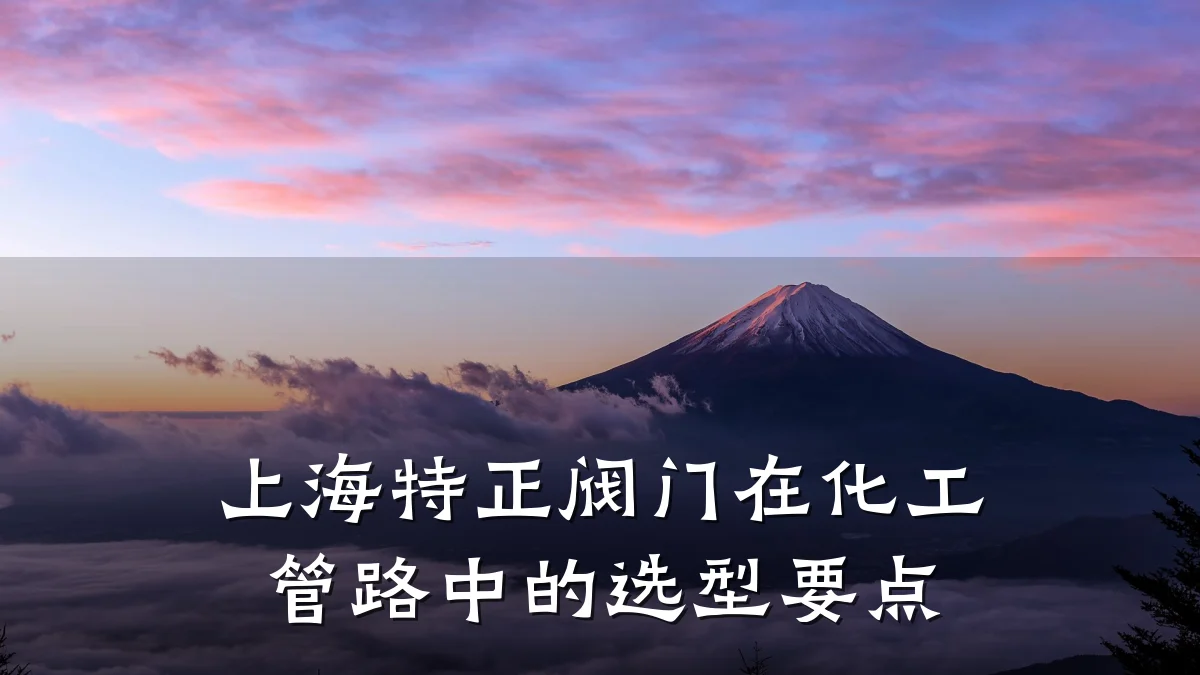 上海特正阀门在化工管路中的选型要点