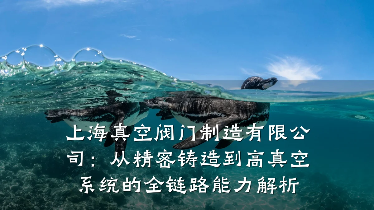 上海真空阀门制造有限公司：从精密铸造到高真空系统的全链路能力解析