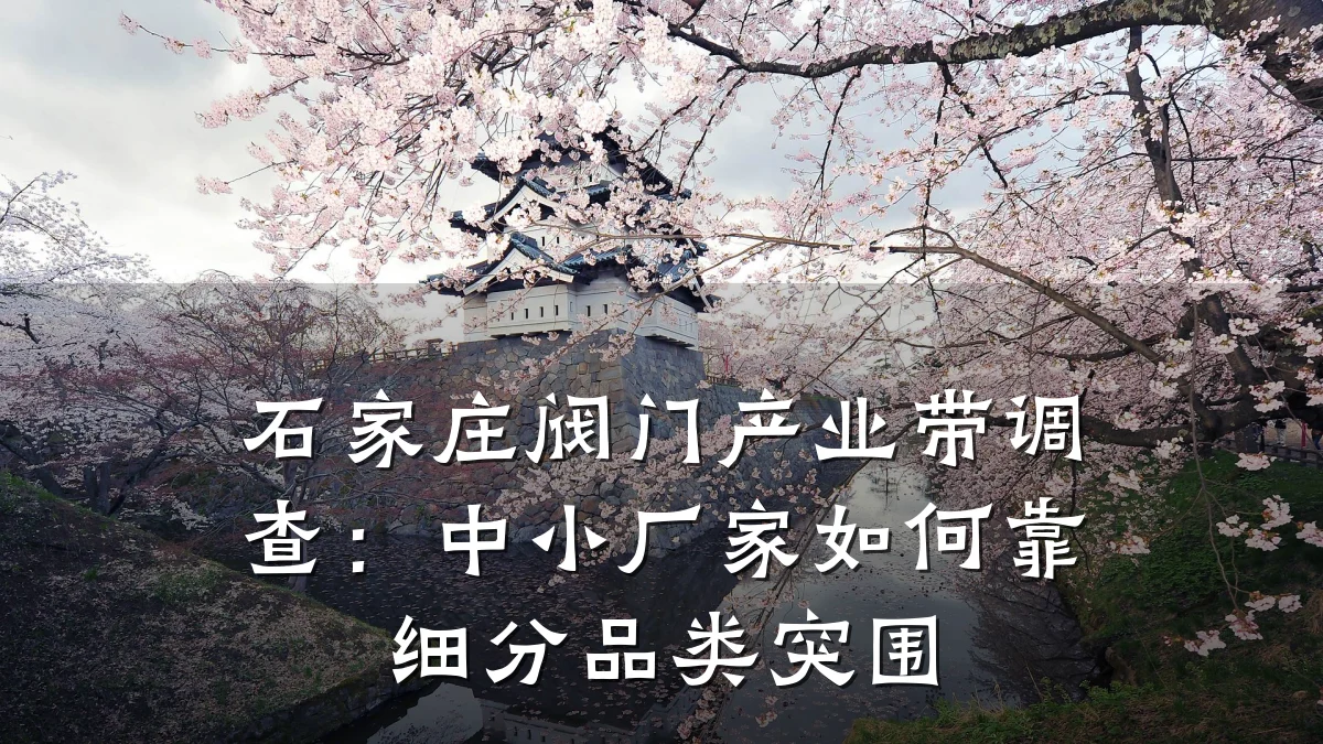 石家庄阀门产业带调查：中小厂家如何靠细分品类突围