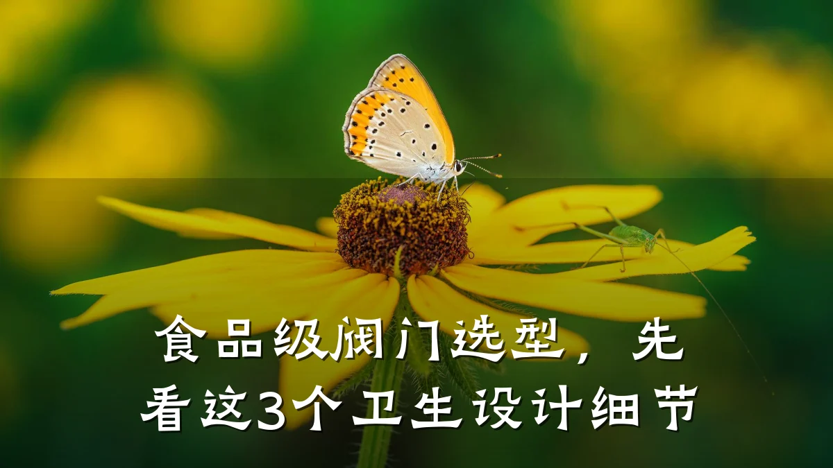 食品级阀门选型，先看这3个卫生设计细节