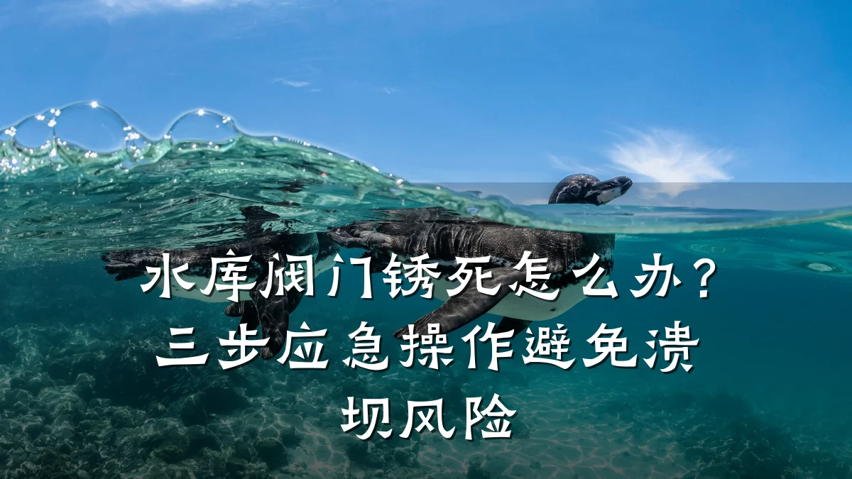 水库阀门锈死怎么办？三步应急操作避免溃坝风险