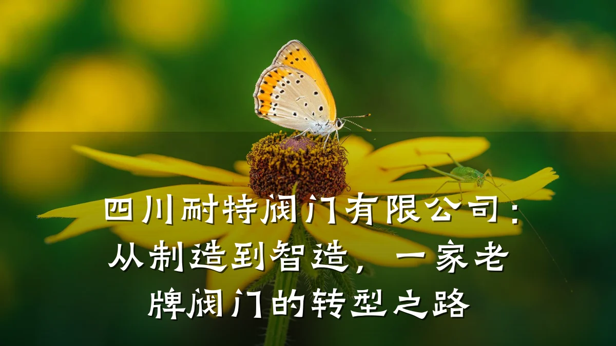 四川耐特阀门有限公司：从制造到智造，一家老牌阀门的转型之路