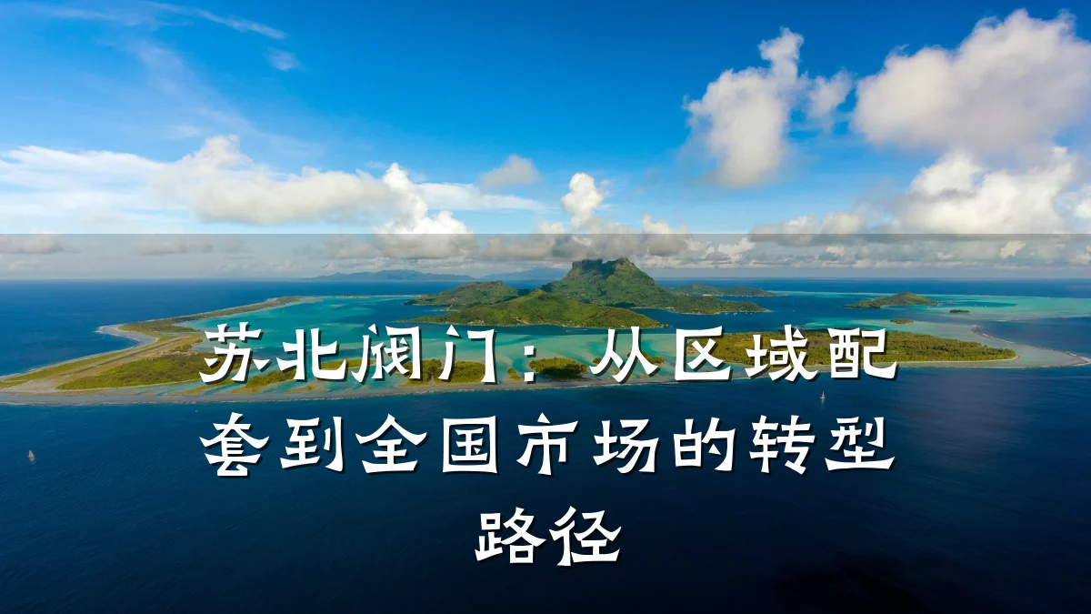 苏北阀门：从区域配套到全国市场的转型路径