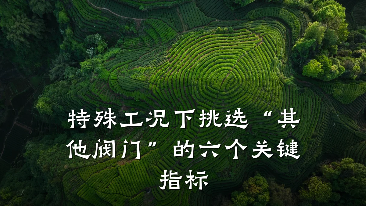特殊工况下挑选“其他阀门”的六个关键指标