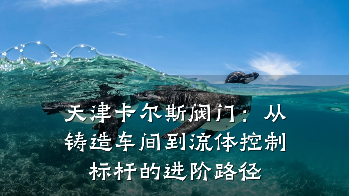 天津卡尔斯阀门：从铸造车间到流体控制标杆的进阶路径