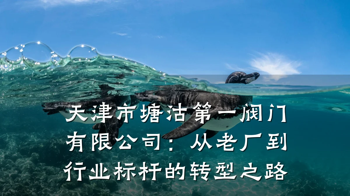 天津市塘沽第一阀门有限公司：从老厂到行业标杆的转型之路
