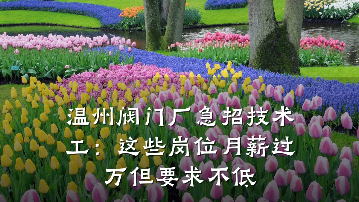 温州阀门厂急招技术工：这些岗位月薪过万但要求不低