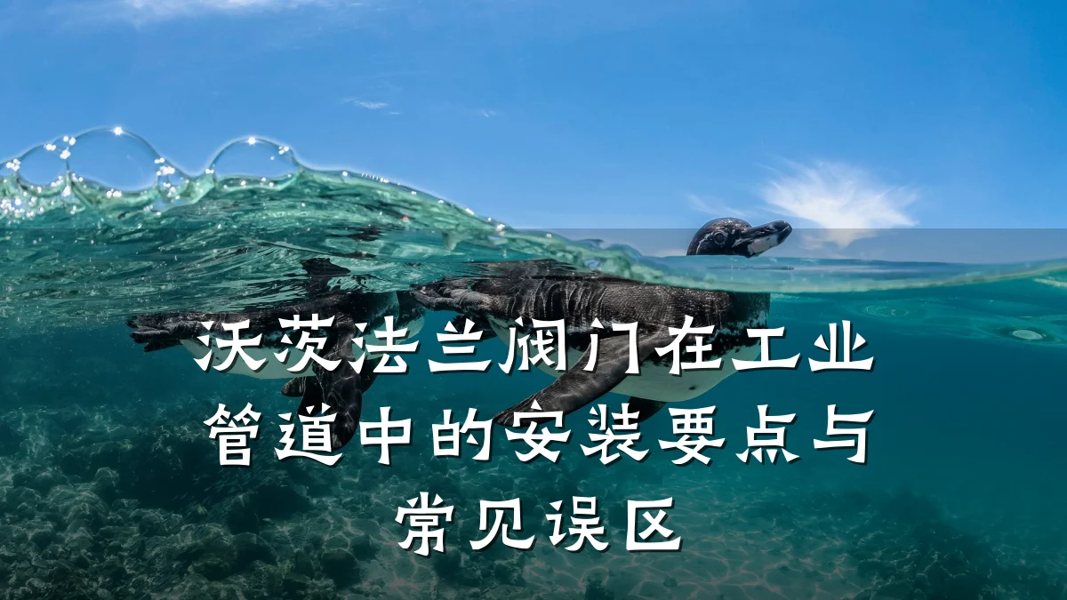 沃茨法兰阀门在工业管道中的安装要点与常见误区