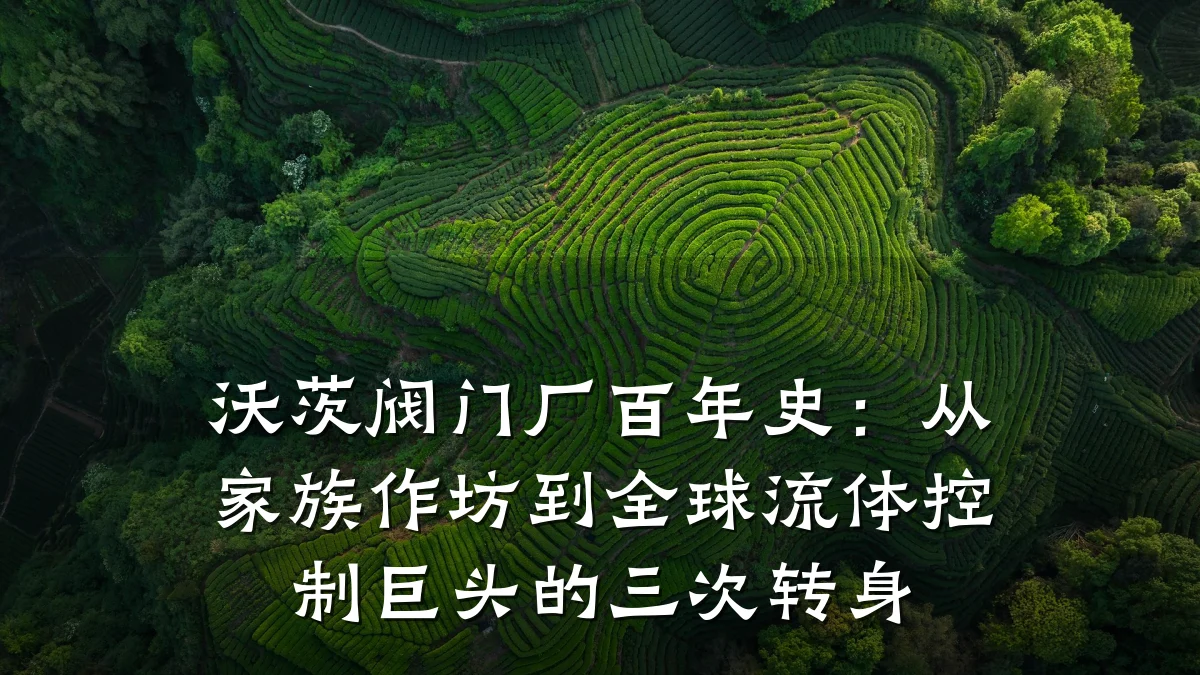 沃茨阀门厂百年史：从家族作坊到全球流体控制巨头的三次转身