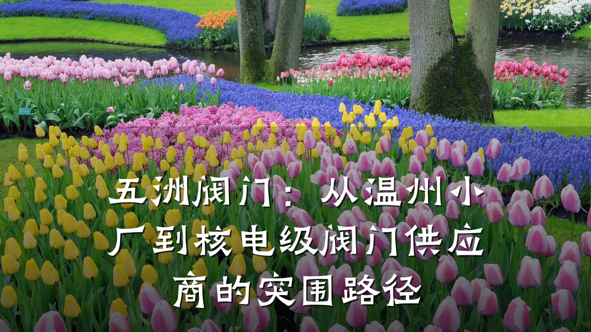 五洲阀门：从温州小厂到核电级阀门供应商的突围路径