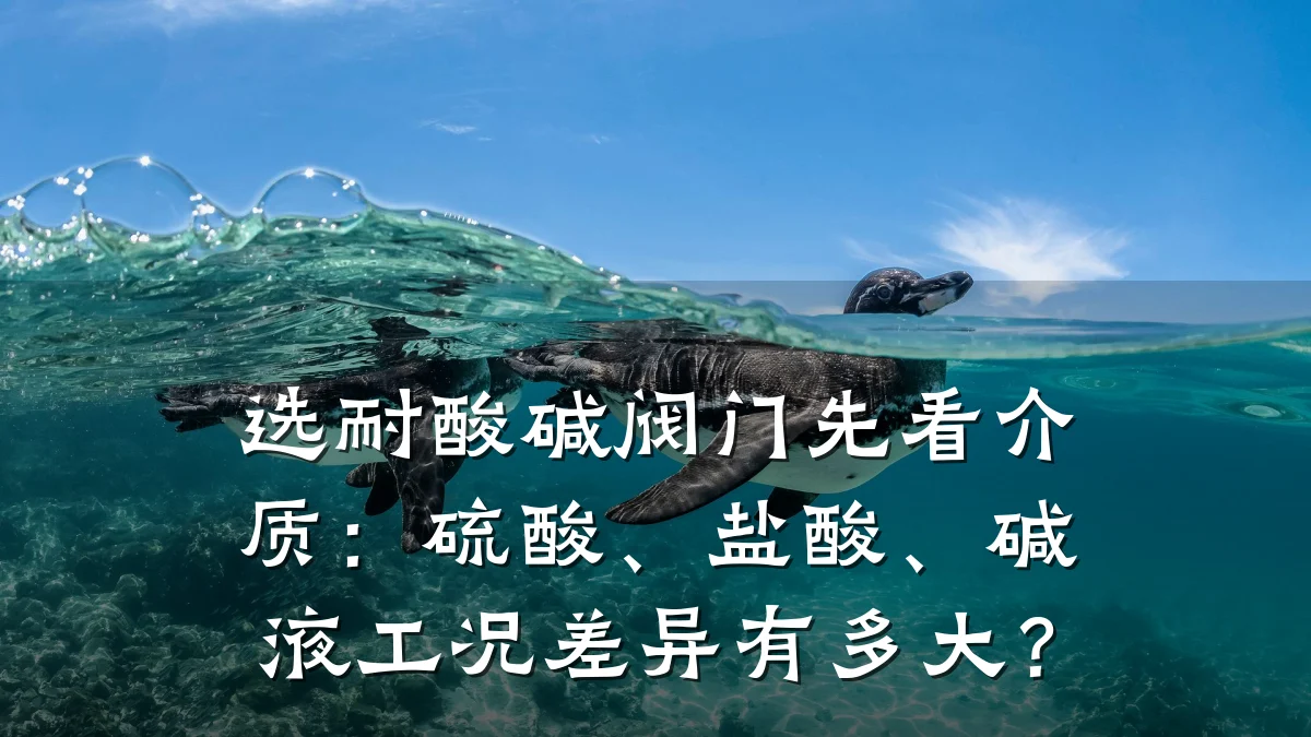 选耐酸碱阀门先看介质:硫酸、盐酸、碱液工况差异有多大?