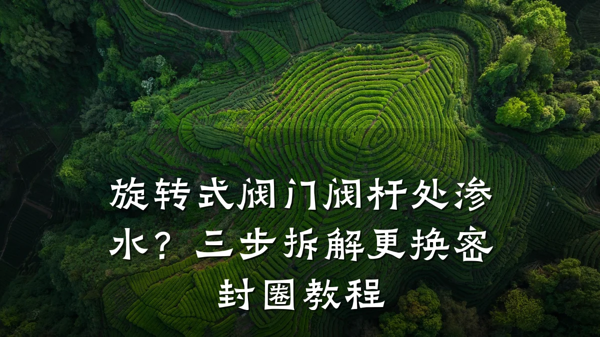 旋转式阀门阀杆处渗水？三步拆解更换密封圈教程