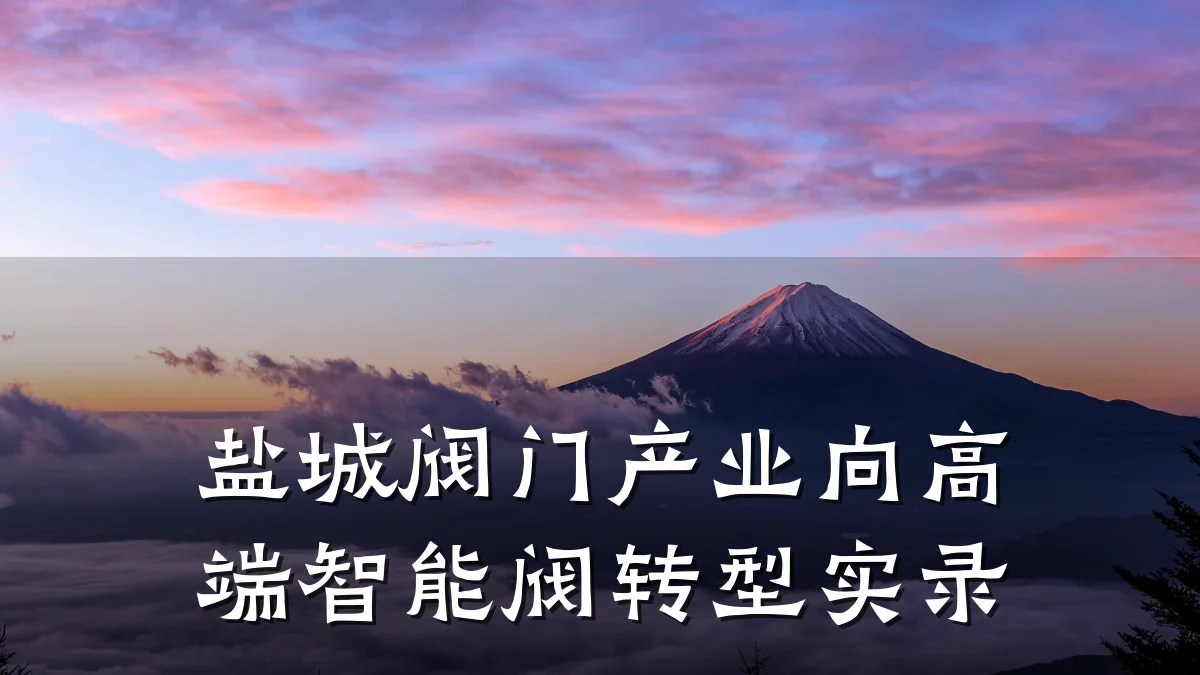 盐城阀门产业向高端智能阀转型实录