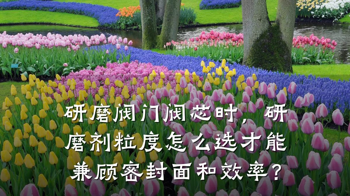 研磨阀门阀芯时，研磨剂粒度怎么选才能兼顾密封面和效率？
