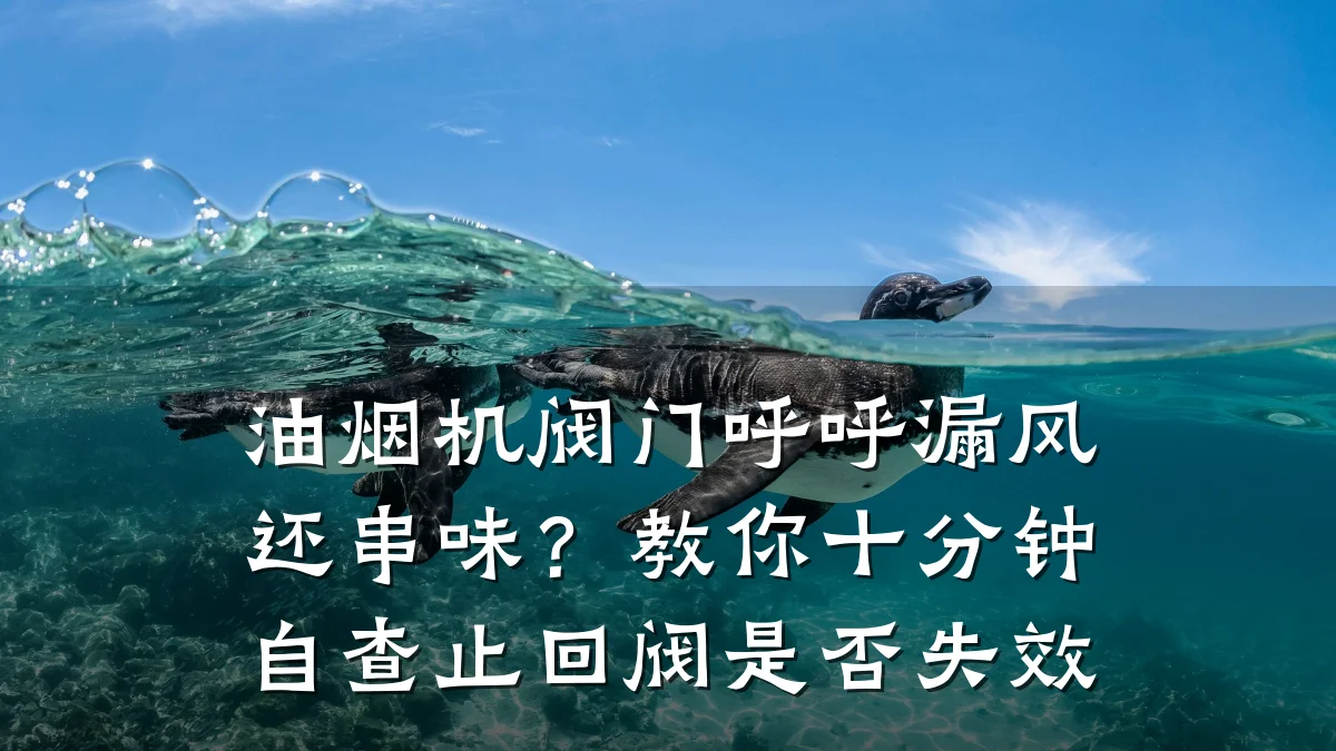油烟机阀门呼呼漏风还串味？教你十分钟自查止回阀是否失效