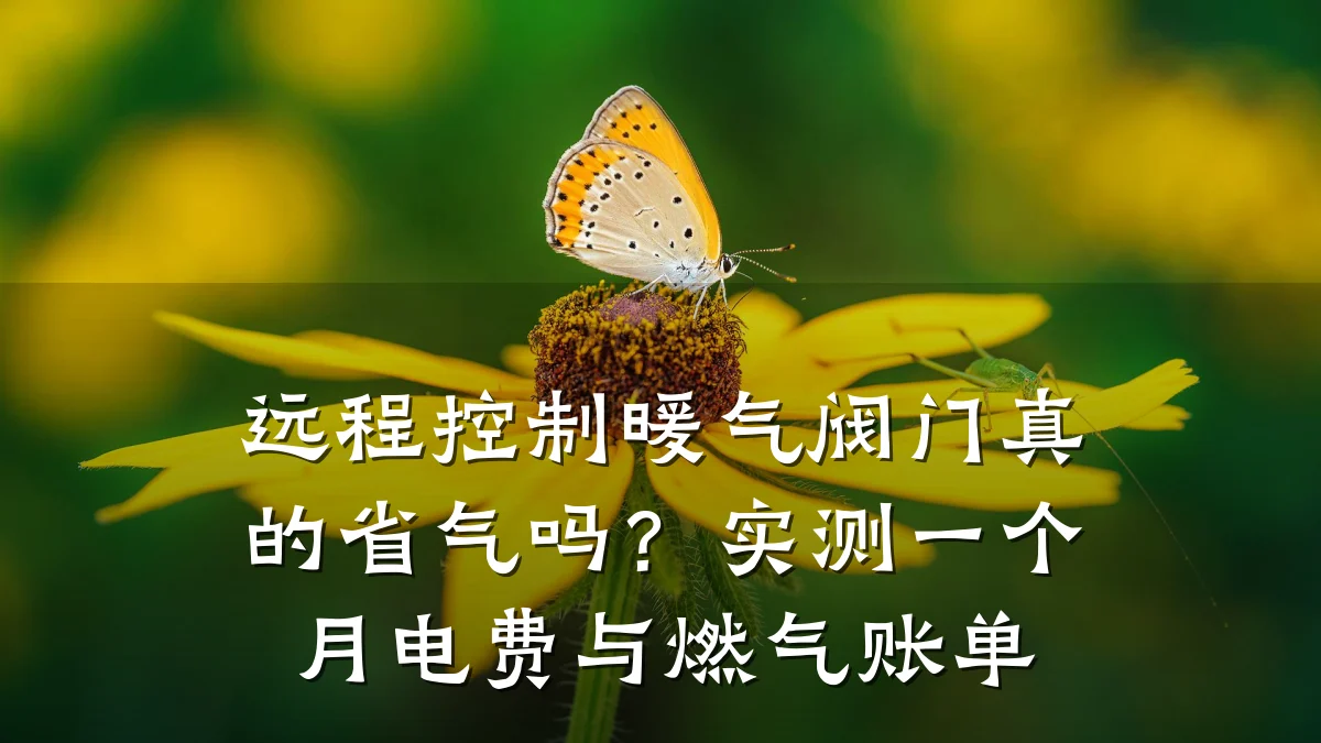 远程控制暖气阀门真的省气吗？实测一个月电费与燃气账单