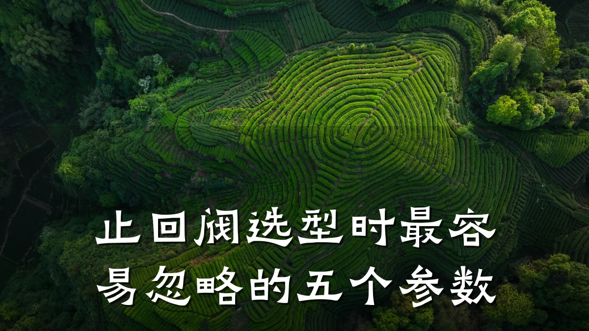 止回阀选型时最容易忽略的五个参数