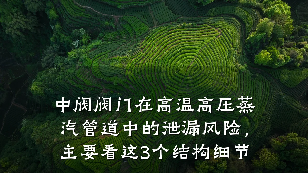 中阀阀门在高温高压蒸汽管道中的泄漏风险，主要看这3个结构细节