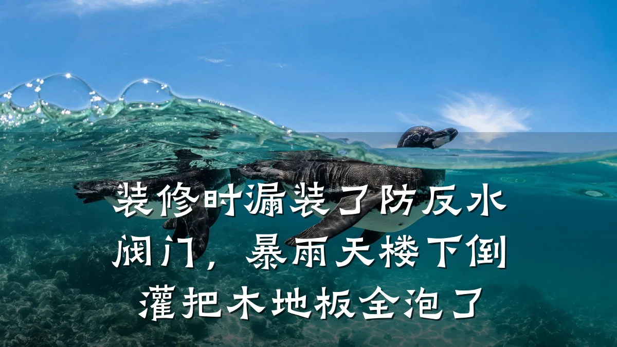 装修时漏装了防反水阀门，暴雨天楼下倒灌把木地板全泡了