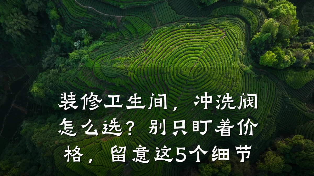 装修卫生间，冲洗阀怎么选？别只盯着价格，留意这5个细节