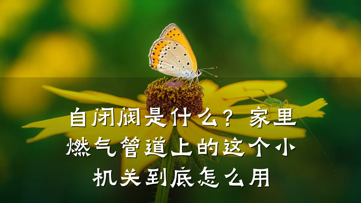 自闭阀是什么？家里燃气管道上的这个小机关到底怎么用