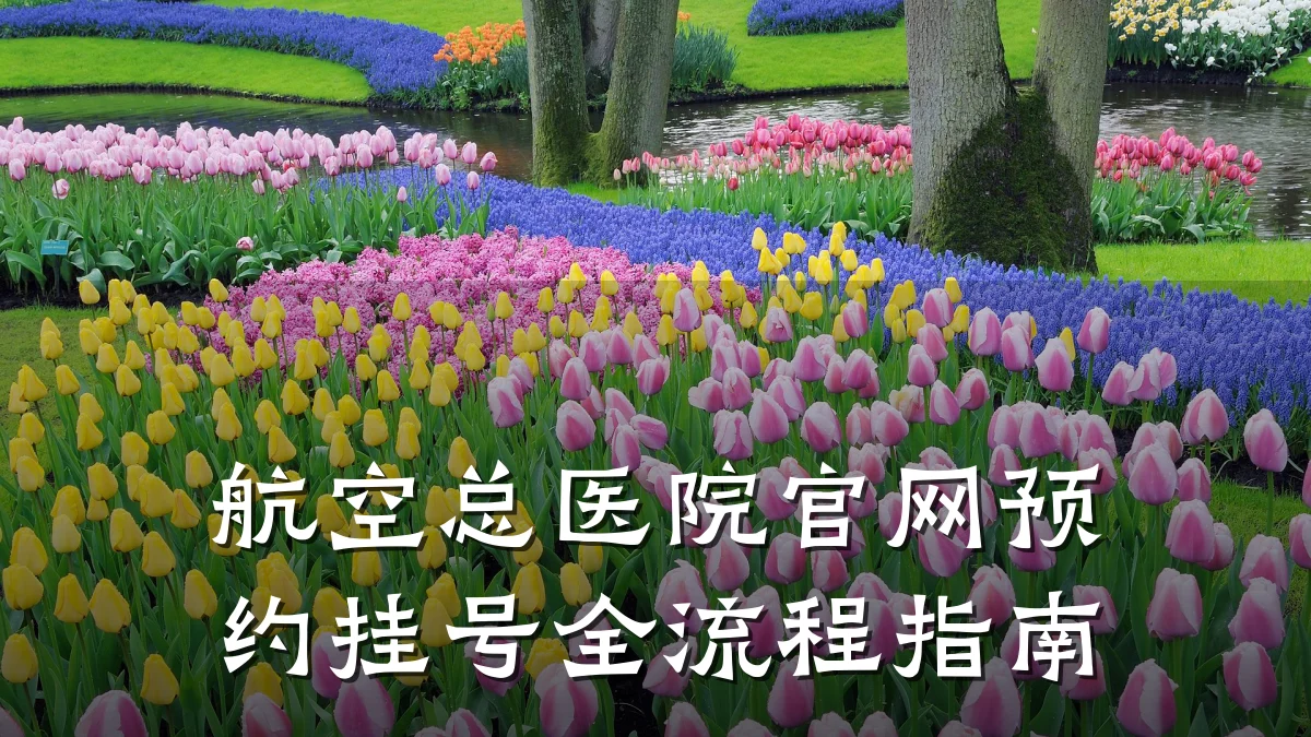 航空总医院官网预约挂号全流程指南