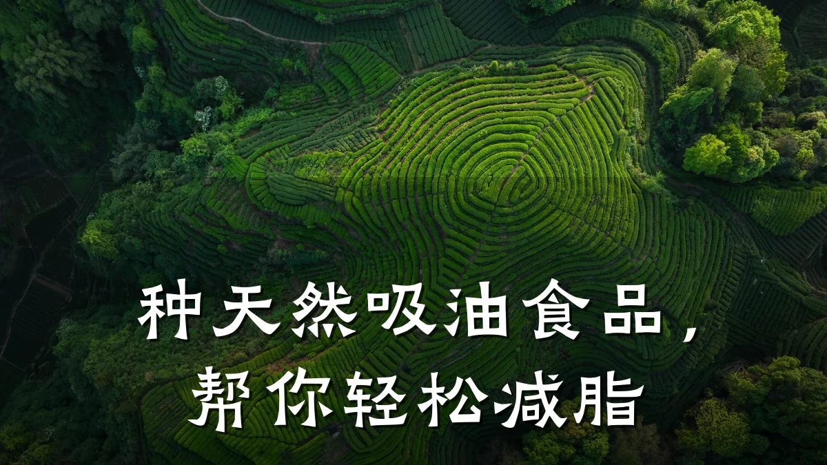 种天然吸油食品,帮你轻松减脂