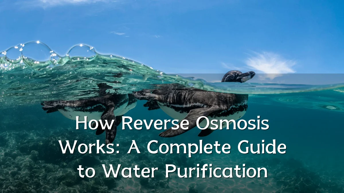 How Reverse Osmosis Works: A Complete Guide to Water Purification