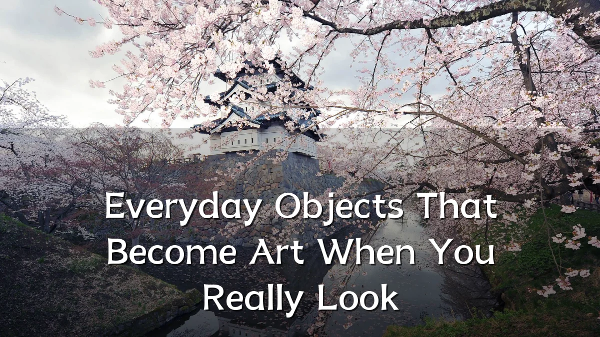 Everyday Objects That Become Art When You Really Look