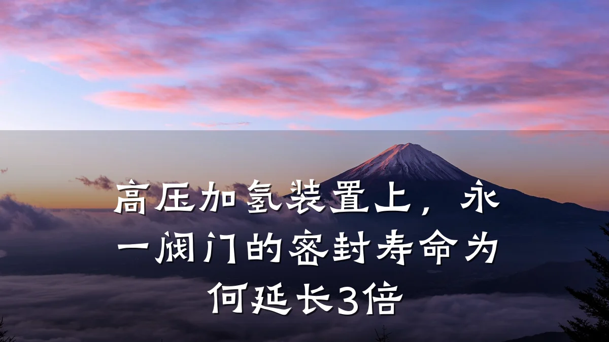 高压加氢装置上,永一阀门的密封寿命为何延长3倍