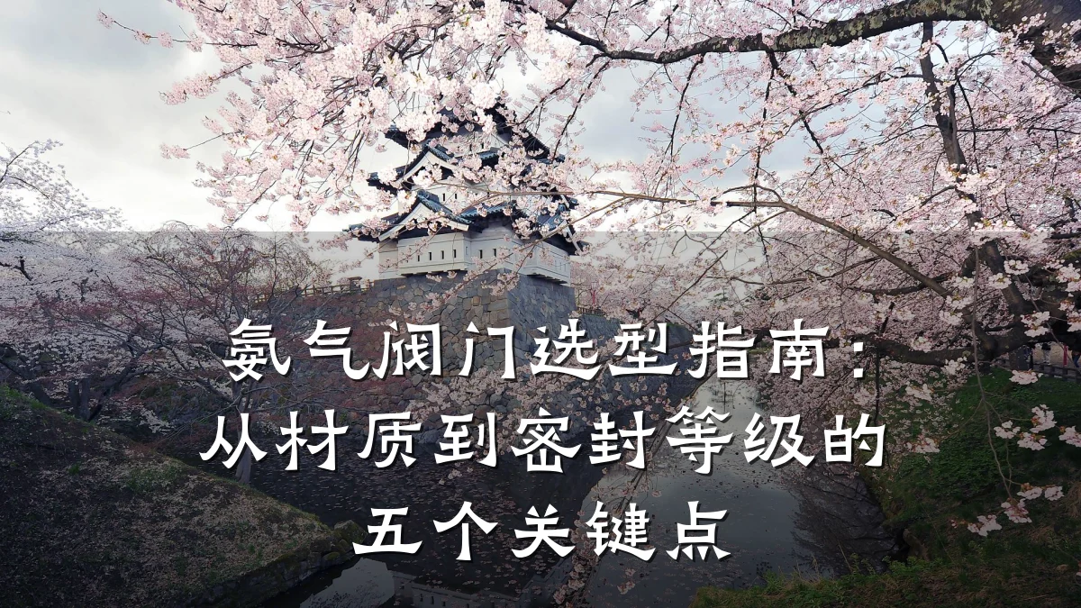 氨气阀门选型指南:从材质到密封等级的五个关键点
