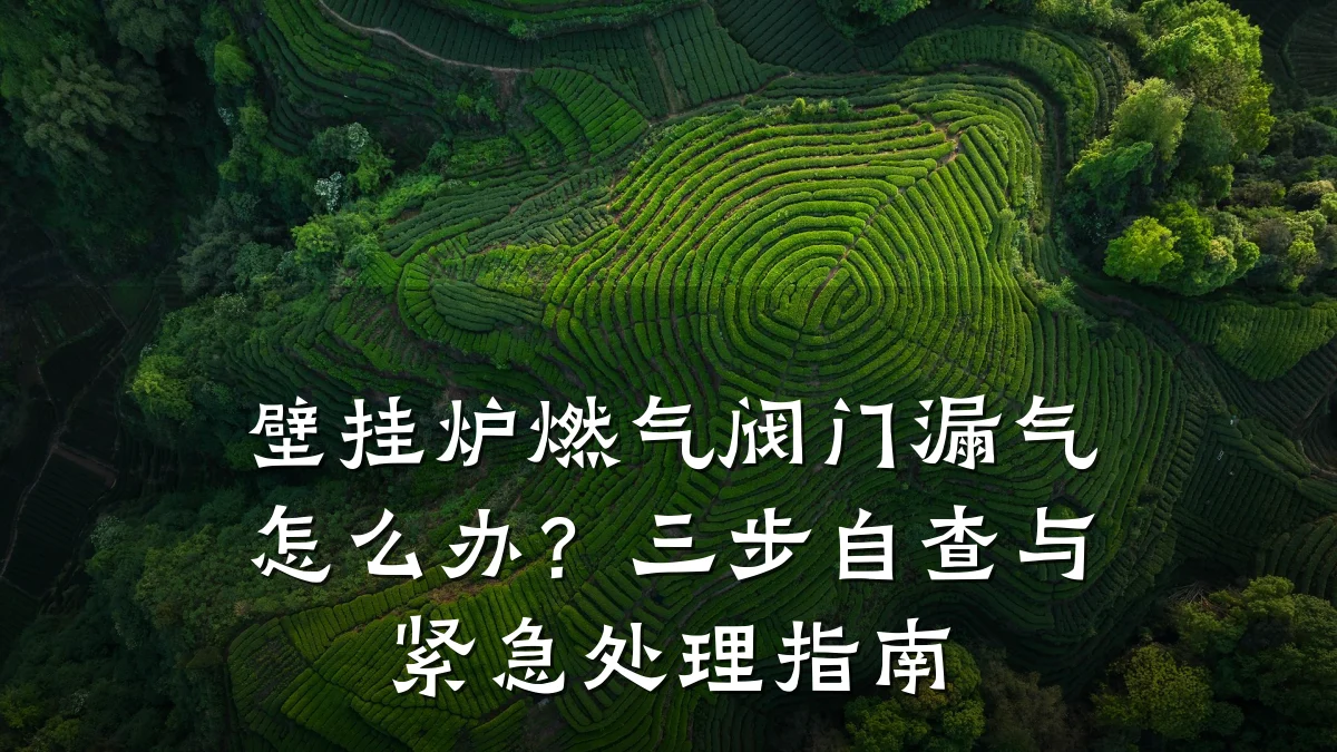 壁挂炉燃气阀门漏气怎么办?三步自查与紧急处理指南