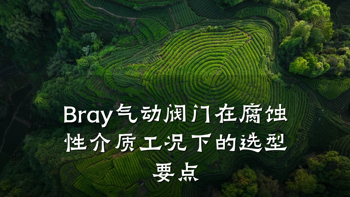 Bray气动阀门在腐蚀性介质工况下的选型要点