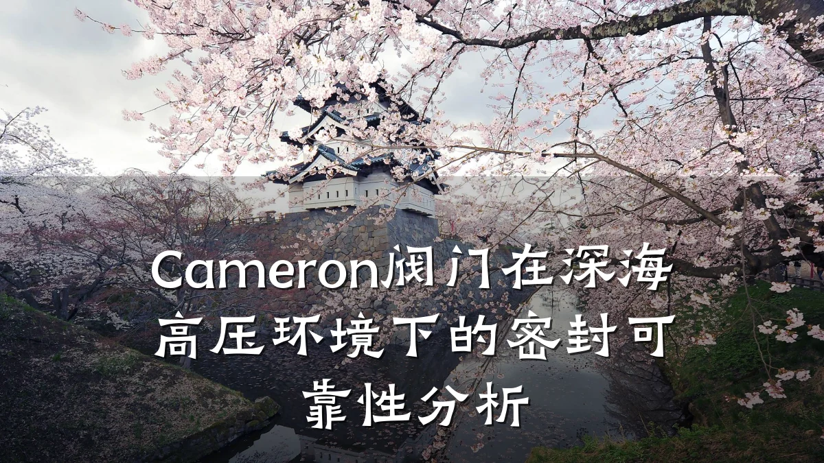 Cameron阀门在深海高压环境下的密封可靠性分析