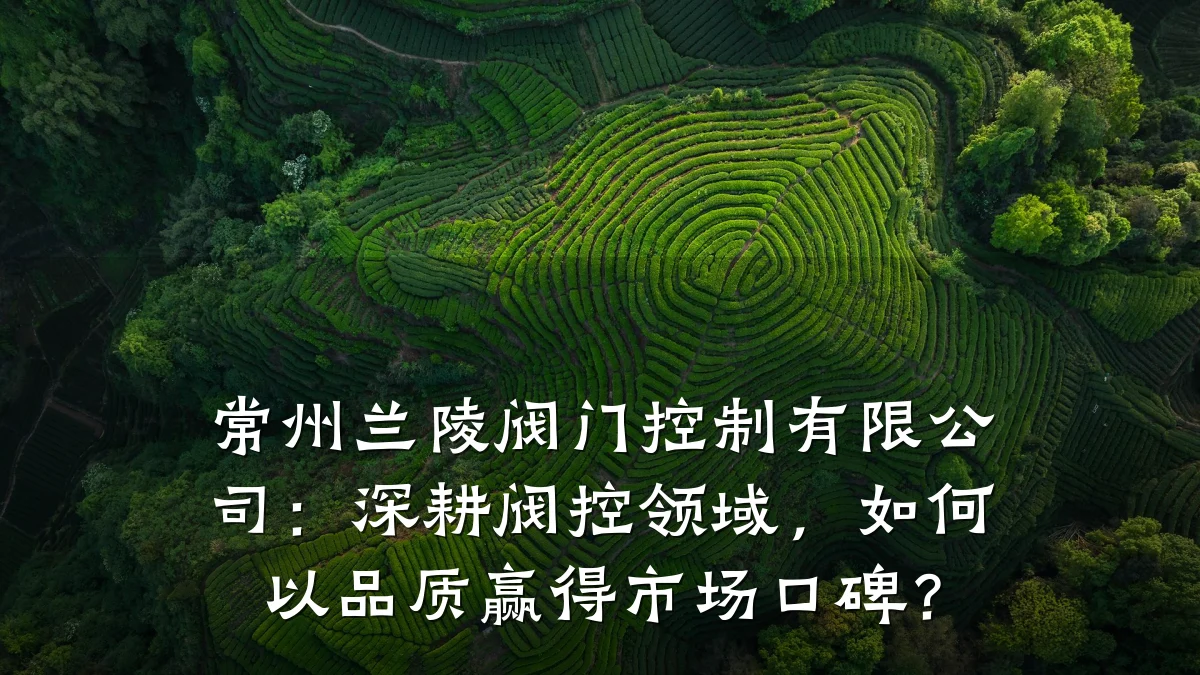 常州兰陵阀门控制有限公司:深耕阀控领域,如何以品质赢得市场口碑?