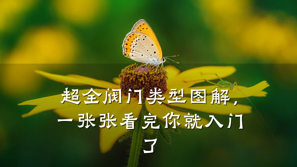 超全阀门类型图解,一张张看完你就入门了