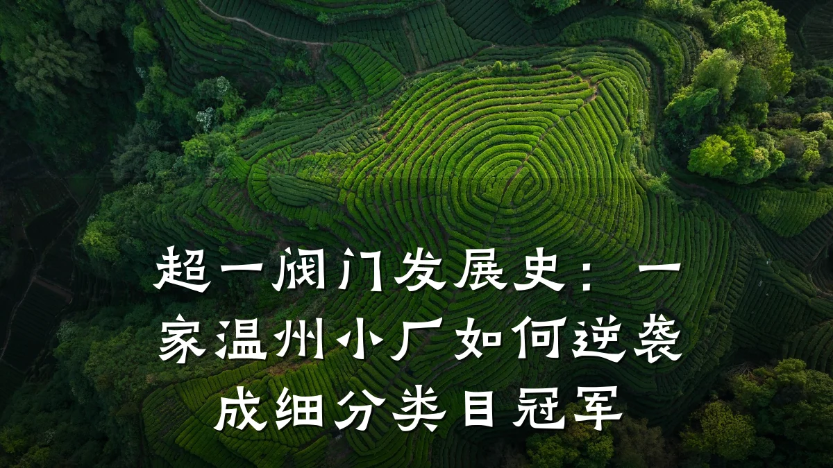 超一阀门发展史:一家温州小厂如何逆袭成细分类目冠军